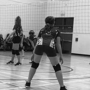 Meet your Posher, Gracie